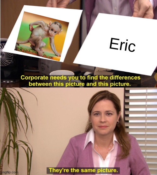 bald monkey | Eric | image tagged in memes,they're the same picture,monkey,bald | made w/ Imgflip meme maker