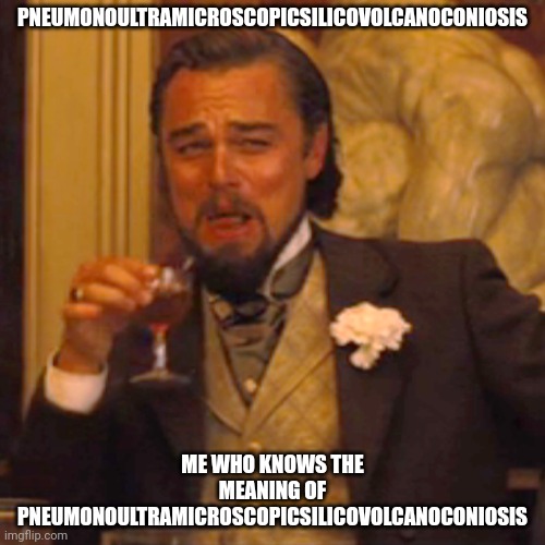 Laughing Leo Meme | PNEUMONOULTRAMICROSCOPICSILICOVOLCANOCONIOSIS; ME WHO KNOWS THE MEANING OF PNEUMONOULTRAMICROSCOPICSILICOVOLCANOCONIOSIS | image tagged in memes,laughing leo | made w/ Imgflip meme maker