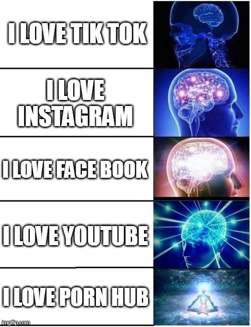 porn hub is the best | I LOVE TIK TOK; I LOVE INSTAGRAM; I LOVE FACE BOOK; I LOVE YOUTUBE; I LOVE PORN HUB | image tagged in expanding brain 5 panel | made w/ Imgflip meme maker
