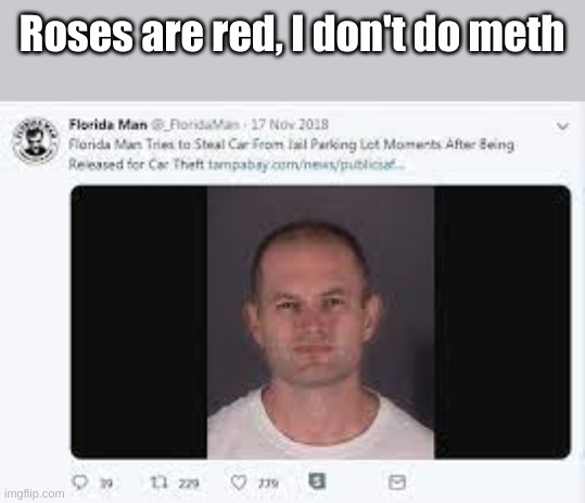 it says man tries to steal car in police parking lot after being released from car theft | Roses are red, I don't do meth | image tagged in florida man | made w/ Imgflip meme maker
