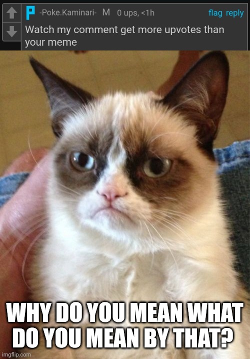 Poke note: check again | WHY DO YOU MEAN WHAT DO YOU MEAN BY THAT? | image tagged in memes,grumpy cat | made w/ Imgflip meme maker