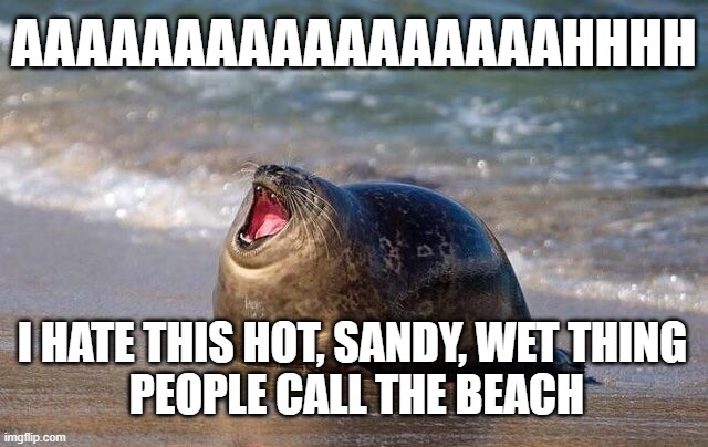 Leave me | AAAAAAAAAAAAAAAAAHHHH; I HATE THIS HOT, SANDY, WET THING 
PEOPLE CALL THE BEACH | image tagged in funny memes | made w/ Imgflip meme maker