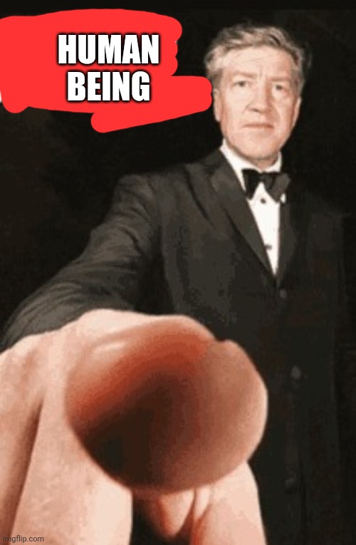 Shut up anime profile picture | HUMAN BEING | image tagged in shut up anime profile picture | made w/ Imgflip meme maker