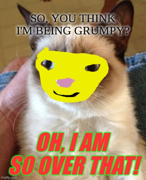 Grumpy Cat Meme | SO, YOU THINK I'M BEING GRUMPY? OH, I AM  SO OVER THAT! | image tagged in memes,grumpy cat | made w/ Imgflip meme maker