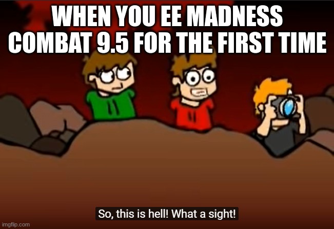 Modness Cambat |  WHEN YOU EE MADNESS COMBAT 9.5 FOR THE FIRST TIME | image tagged in so this is hell | made w/ Imgflip meme maker