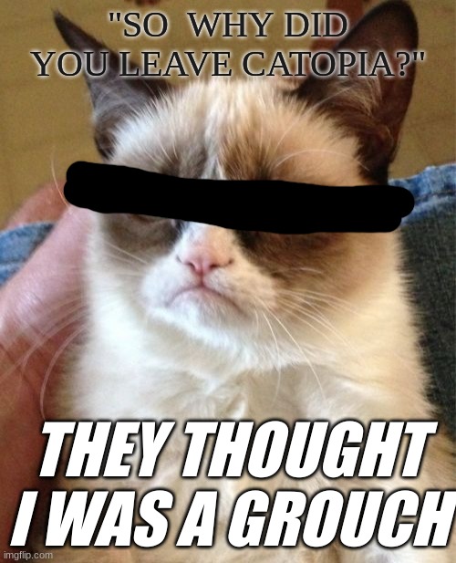 Grumpy Cat | "SO  WHY DID YOU LEAVE CATOPIA?"; THEY THOUGHT I WAS A GROUCH | image tagged in memes,grumpy cat | made w/ Imgflip meme maker