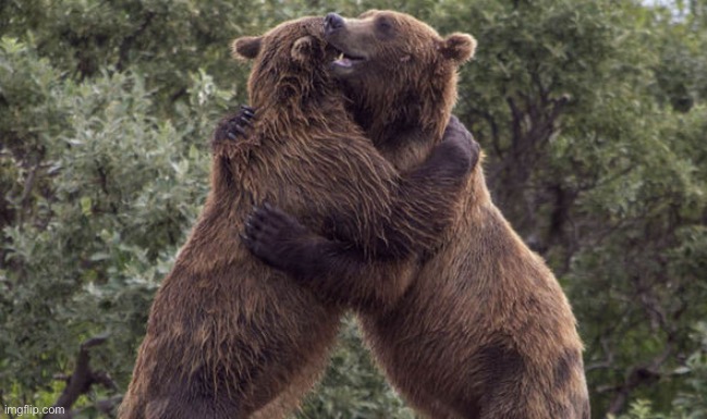 Bear hug | image tagged in bear hug | made w/ Imgflip meme maker