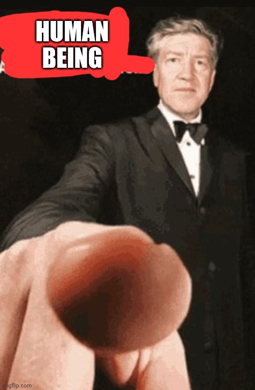 Shut up anime profile picture | HUMAN BEING | image tagged in shut up anime profile picture | made w/ Imgflip meme maker