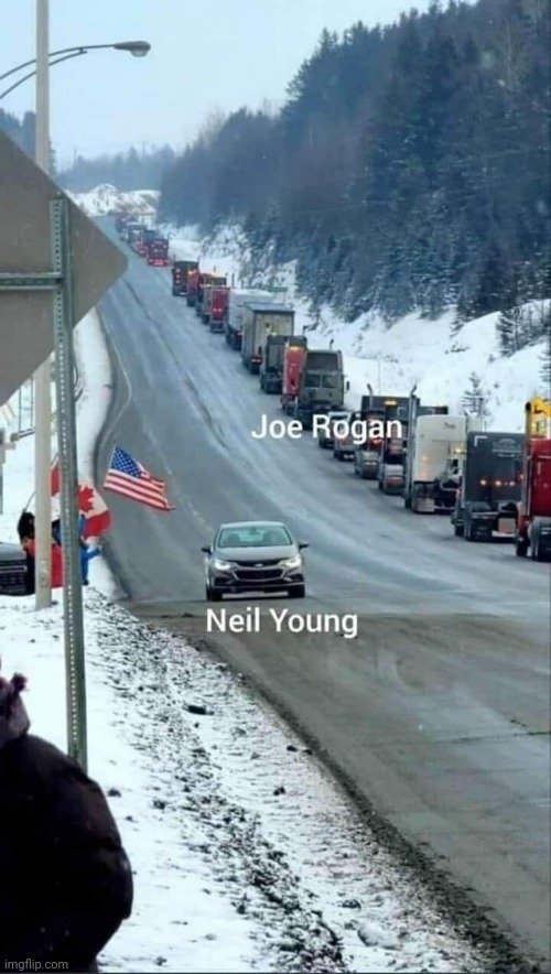 roll with it | image tagged in funny memes,joe rogan,neil young,trucker | made w/ Imgflip meme maker