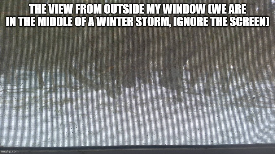 sry about the screen mesh | THE VIEW FROM OUTSIDE MY WINDOW (WE ARE IN THE MIDDLE OF A WINTER STORM, IGNORE THE SCREEN) | made w/ Imgflip meme maker