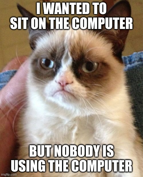 Bruh | I WANTED TO SIT ON THE COMPUTER; BUT NOBODY IS USING THE COMPUTER | image tagged in memes,grumpy cat,relatable,cats,pain,funny | made w/ Imgflip meme maker