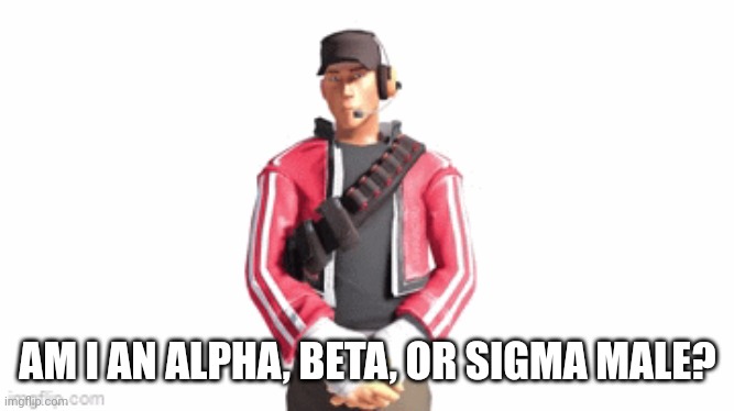 scout drip | AM I AN ALPHA, BETA, OR SIGMA MALE? | image tagged in scout drip | made w/ Imgflip meme maker