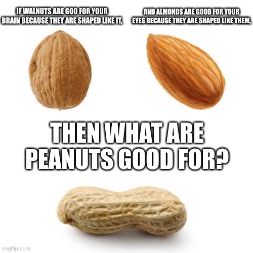 BLANK | AND ALMONDS ARE GOOD FOR YOUR EYES BECAUSE THEY ARE SHAPED LIKE THEM, IF WALNUTS ARE GOO FOR YOUR BRAIN BECAUSE THEY ARE SHAPED LIKE IT, THEN WHAT ARE PEANUTS GOOD FOR? | image tagged in blank,o_o,dem nuts | made w/ Imgflip meme maker