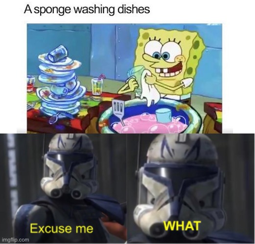 Excuse me what? | image tagged in excuse me what | made w/ Imgflip meme maker