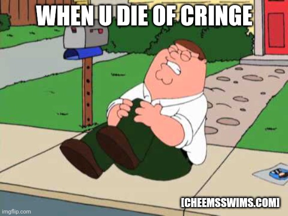 Sad | WHEN U DIE OF CRINGE; [CHEEMSSWIMS.COM] | image tagged in peter hurting his knee,peter | made w/ Imgflip meme maker