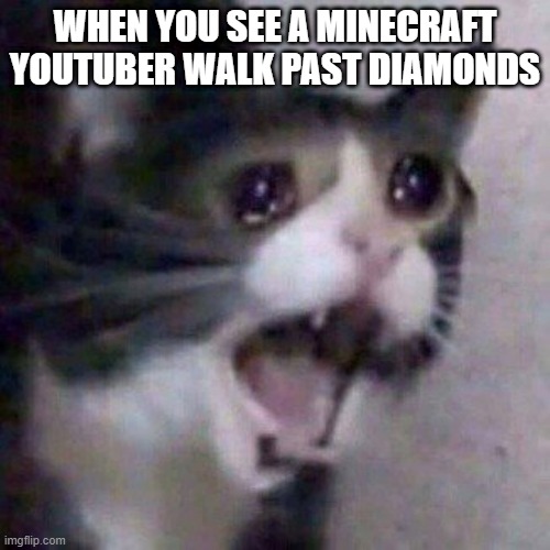 Image Title | WHEN YOU SEE A MINECRAFT YOUTUBER WALK PAST DIAMONDS | image tagged in screaming cat meme | made w/ Imgflip meme maker