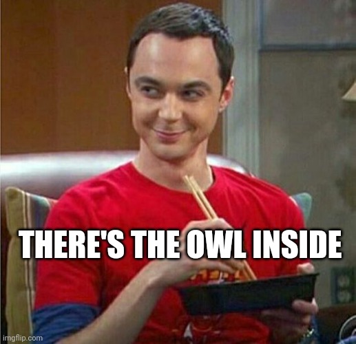 Sheldon Chinese Food | THERE'S THE OWL INSIDE | image tagged in sheldon chinese food | made w/ Imgflip meme maker
