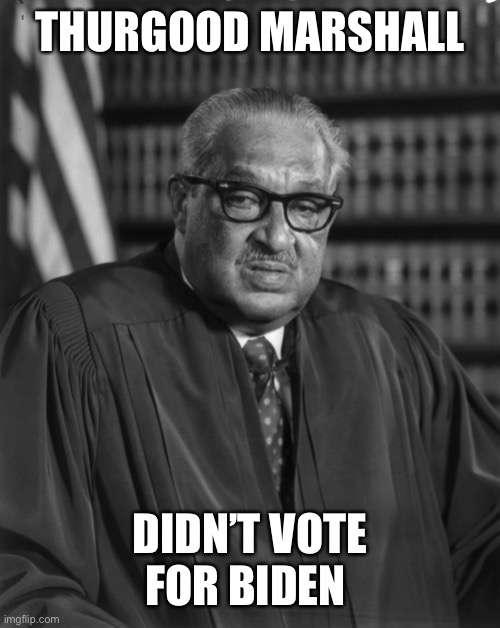 Thurgood Marshall | THURGOOD MARSHALL DIDN’T VOTE FOR BIDEN | image tagged in thurgood marshall | made w/ Imgflip meme maker