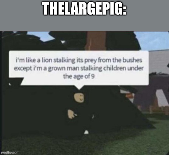 I'm like a lion stalking its pray from the bushes | THELARGEPIG: | image tagged in i'm like a lion stalking its pray from the bushes | made w/ Imgflip meme maker