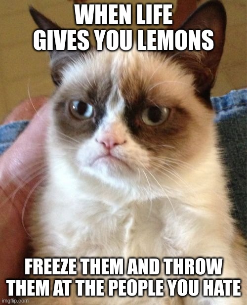 Grumpy Cat | WHEN LIFE GIVES YOU LEMONS; FREEZE THEM AND THROW THEM AT THE PEOPLE YOU HATE | image tagged in memes,grumpy cat | made w/ Imgflip meme maker