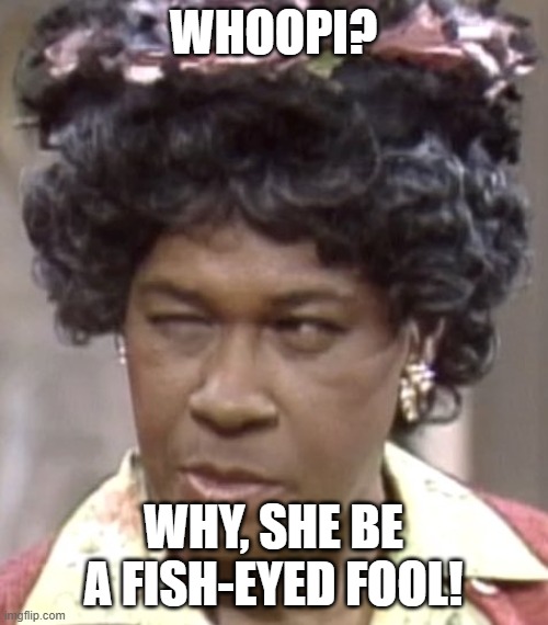 Aunt Esther | WHOOPI? WHY, SHE BE A FISH-EYED FOOL! | image tagged in aunt esther | made w/ Imgflip meme maker