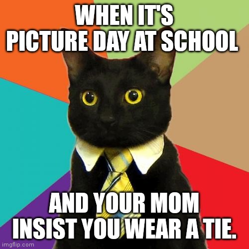 Business Cat | WHEN IT'S PICTURE DAY AT SCHOOL; AND YOUR MOM INSIST YOU WEAR A TIE. | image tagged in memes,business cat | made w/ Imgflip meme maker