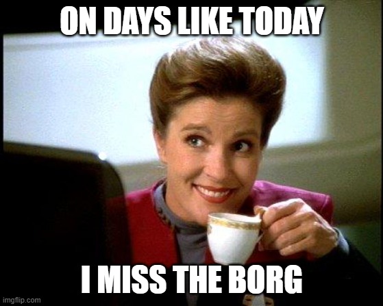 its been a hard day | ON DAYS LIKE TODAY; I MISS THE BORG | image tagged in captain janeway coffee cup | made w/ Imgflip meme maker