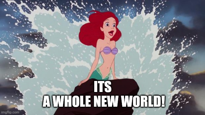 Little Mermaid | ITS
 A WHOLE NEW WORLD! | image tagged in little mermaid | made w/ Imgflip meme maker