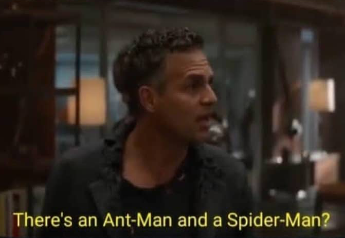 High Quality There’s an Antman and a Spider-man? Blank Meme Template