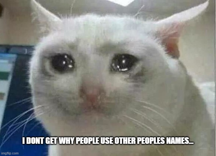 why? | I DONT GET WHY PEOPLE USE OTHER PEOPLES NAMES... | image tagged in cat,sad cat | made w/ Imgflip meme maker