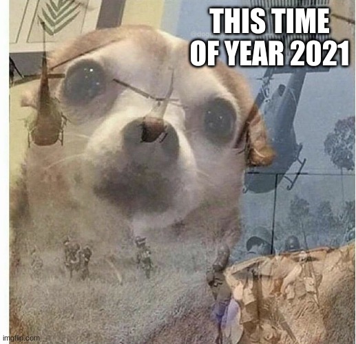 THIS TIME OF THE YEAR 2021 | image tagged in ptsd chihuahua | made w/ Imgflip meme maker