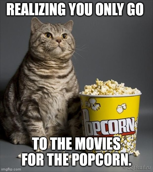 Cat eating popcorn | REALIZING YOU ONLY GO; TO THE MOVIES FOR THE POPCORN. | image tagged in cat eating popcorn | made w/ Imgflip meme maker
