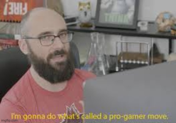 Im gonna do whats called a pro gamer move | image tagged in im gonna do whats called a pro gamer move | made w/ Imgflip meme maker