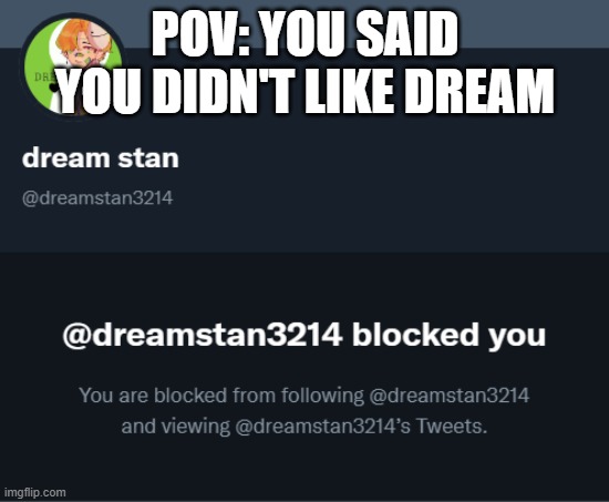 POV: YOU SAID YOU DIDN'T LIKE DREAM | made w/ Imgflip meme maker
