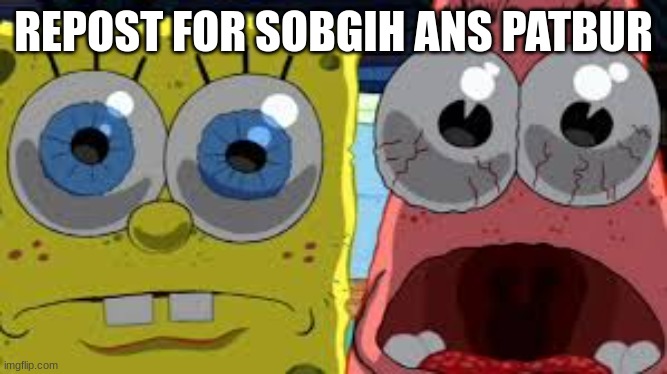 spongebob and patrick staring | REPOST FOR SOBGIH ANS PATBUR | image tagged in spongebob and patrick staring | made w/ Imgflip meme maker