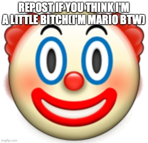Clown | REPOST IF YOU THINK I'M A LITTLE BITCH(I'M MARIO BTW) | image tagged in clown | made w/ Imgflip meme maker