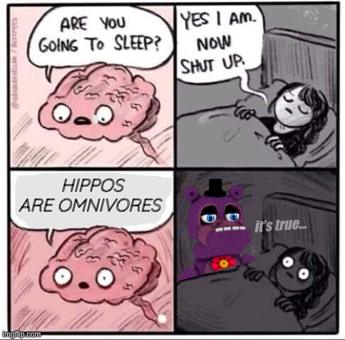 Hippos are Omnivores | HIPPOS ARE OMNIVORES; it’s true… | image tagged in are you going to sleep,funny memes,hippopotamus | made w/ Imgflip meme maker