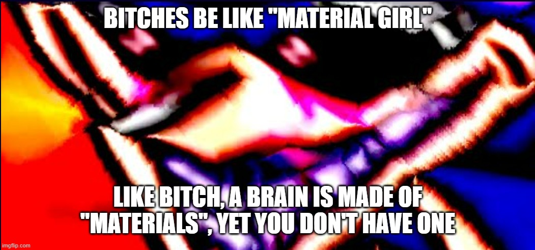 Xenophanes took 40 Benadryls | BITCHES BE LIKE "MATERIAL GIRL"; LIKE BITCH, A BRAIN IS MADE OF "MATERIALS", YET YOU DON'T HAVE ONE | image tagged in xenophanes took 40 benadryls | made w/ Imgflip meme maker