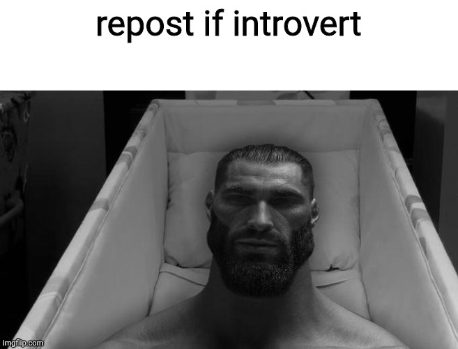 thinking chad | repost if introvert | image tagged in thinking chad | made w/ Imgflip meme maker