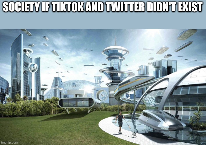 Society if TikTok and Twitter didn't exist | SOCIETY IF TIKTOK AND TWITTER DIDN'T EXIST | image tagged in society if,tiktok,tiktok sucks,tik tok sucks,tik tok,twitter | made w/ Imgflip meme maker