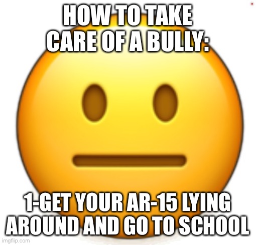 Dang bro.. | HOW TO TAKE CARE OF A BULLY:; 1-GET YOUR AR-15 LYING AROUND AND GO TO SCHOOL | image tagged in dang bro | made w/ Imgflip meme maker
