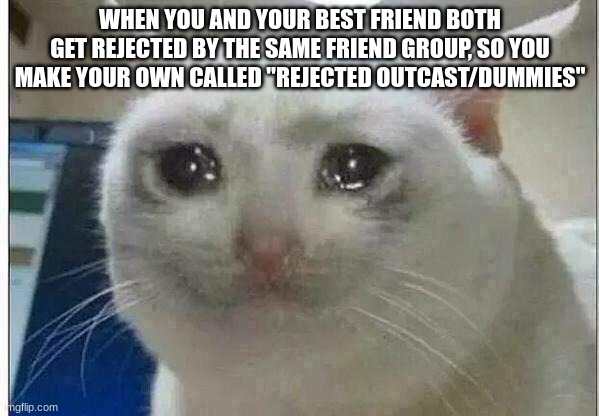 true story from lunch today ;( | WHEN YOU AND YOUR BEST FRIEND BOTH GET REJECTED BY THE SAME FRIEND GROUP, SO YOU MAKE YOUR OWN CALLED "REJECTED OUTCAST/DUMMIES" | image tagged in crying cat,true story,true story bro,best friends,rejection,school | made w/ Imgflip meme maker