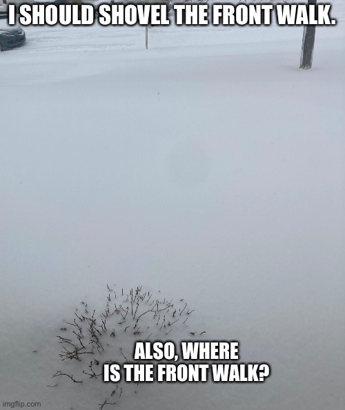 Snow big deal | I SHOULD SHOVEL THE FRONT WALK. ALSO, WHERE IS THE FRONT WALK? | image tagged in snow | made w/ Imgflip meme maker