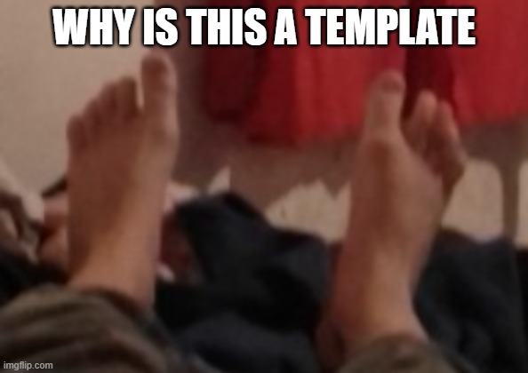 Benjamin/Nocturnum's feet | WHY IS THIS A TEMPLATE | image tagged in benjamin/nocturnum's feet | made w/ Imgflip meme maker