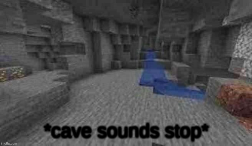 cave sounds stop | image tagged in cave sounds stop | made w/ Imgflip meme maker