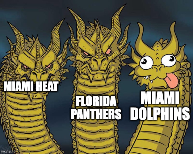 Three dragons | FLORIDA PANTHERS; MIAMI HEAT; MIAMI DOLPHINS | image tagged in three dragons | made w/ Imgflip meme maker