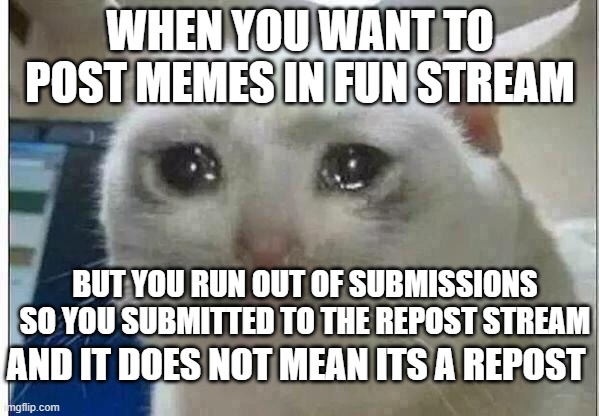crying cat | WHEN YOU WANT TO POST MEMES IN FUN STREAM; BUT YOU RUN OUT OF SUBMISSIONS SO YOU SUBMITTED TO THE REPOST STREAM; AND IT DOES NOT MEAN ITS A REPOST | image tagged in crying cat | made w/ Imgflip meme maker