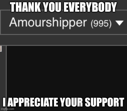 THANK YOU EVERYBODY; I APPRECIATE YOUR SUPPORT | image tagged in appreciation | made w/ Imgflip meme maker