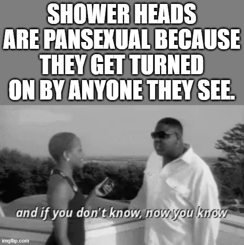 Now you know. | SHOWER HEADS ARE PANSEXUAL BECAUSE THEY GET TURNED ON BY ANYONE THEY SEE. | image tagged in biggie smalls and if you don t know now you know,memes,funny,pan,shower | made w/ Imgflip meme maker