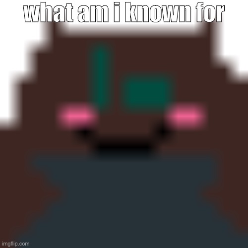 low quality sora | what am i known for | image tagged in low quality sora | made w/ Imgflip meme maker